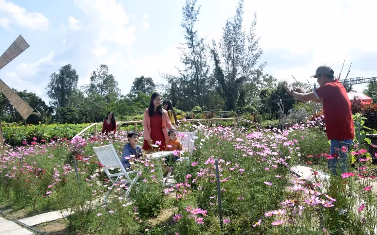 Du khách tham quan Làng hoa Sa Đéc.