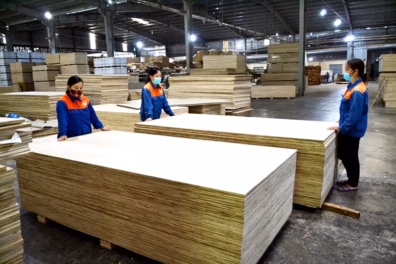 Tạo việc làm cho lao động người dân tộc thiểu số ở Lào Cai -0