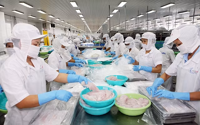 Chế biến thủy sản tại Công ty cổ phần Xuất nhập khẩu thủy sản Cần Thơ (TP Cần Thơ). Ảnh: QUỐC TUẤN