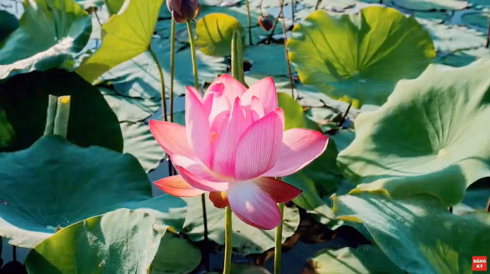 “Việt Nam: Đi Để Yêu! - Sống trọn vẹn ở Việt Nam” -1