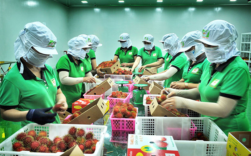 Hoa Kỳ sẽ không hạn chế thương mại đối với hàng hóa xuất khẩu của Việt Nam