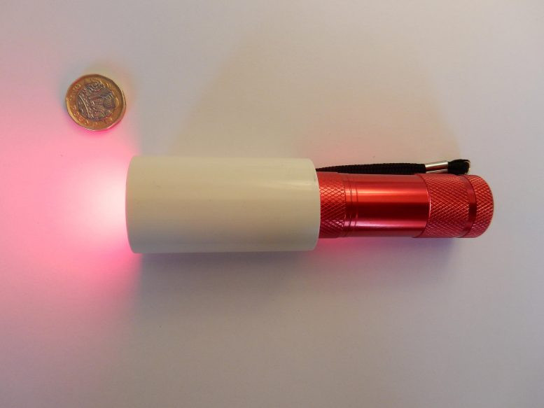 Đèn pin LED cầm tay được sử dụng trong nghiên cứu. Ảnh: UCL. Nhìn ánh sáng đỏ ba phút mỗi ngày cải thiện đáng kể thị lực -0