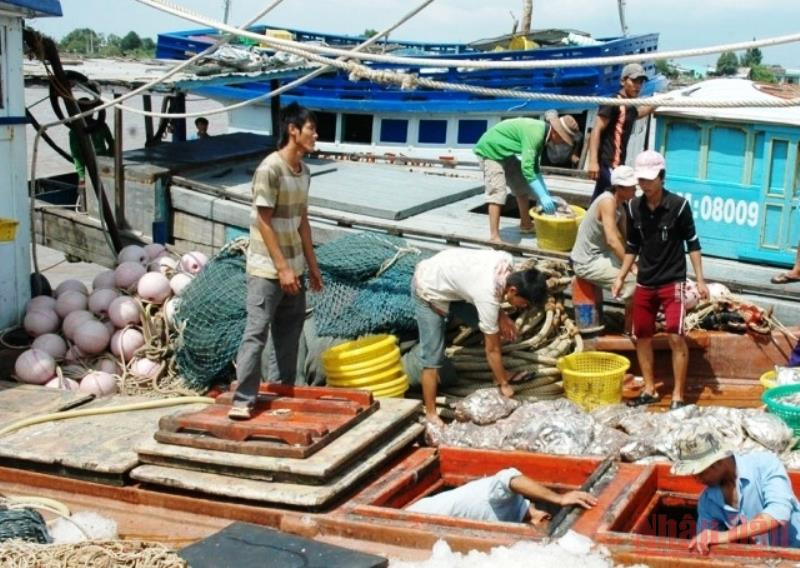 Ngư dân vùng biển huyện Đông Hải (Bạc Liêu). 