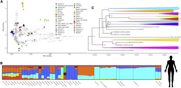 Bộ gen người cổ đại được giải mã từ bùn đất trong hang động. (Ảnh: Current Biology). Phục hồi bộ gen người cổ đại từ bùn trong hang động -0