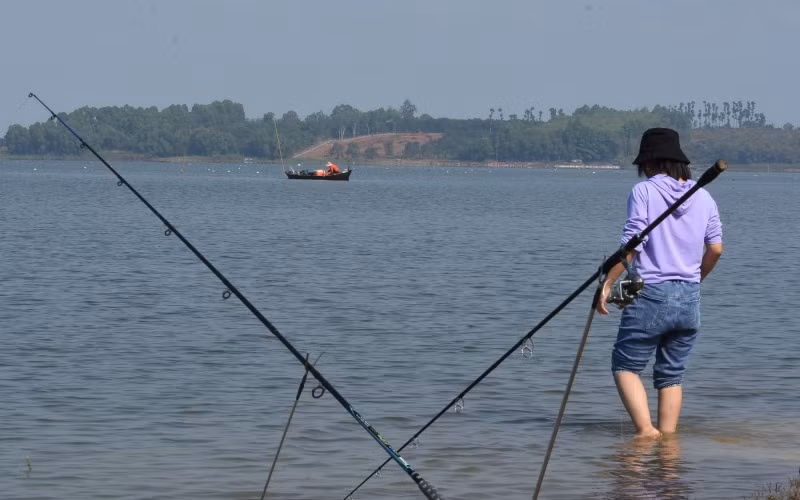 Một gốc hồ Trị An.