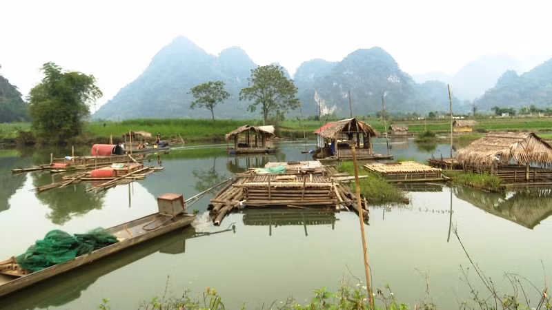 Nông dân huyện Bá Thước nuôi cá lồng trên vùng ngập nước thủy điện.