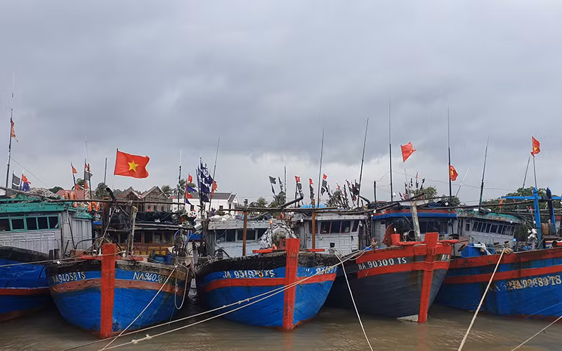 Toàn bộ tàu thuyền Nghệ An đã vào nơi trú đậu an toàn.