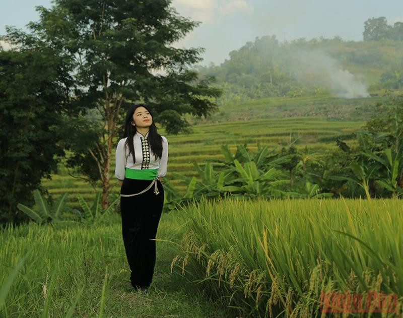 Bạn Lò Thị Kim Đan, huyện Điện Biên chia sẻ: Ruộng bậc thang Tà Lèng rất đẹp, ngắm cảnh ở đây tôi cảm thấy yên bình và dễ chịu. Tôi cùng bạn bè đến đây chụp những bức ảnh làm kỷ niệm. Ruộng bậc thang giữa lòng chảo Điện Biên -0