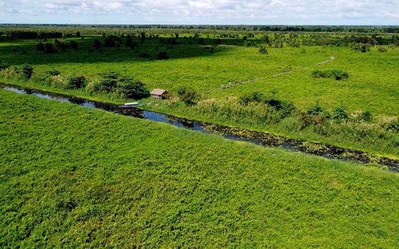 Hệ sinh thái ngập nước, đầm lầy than bùn còn lại ở Việt Nam rất quý hiếm tại Vườn Quốc gia U Minh Thượng. (Ảnh: MekongDeltaExplorer)