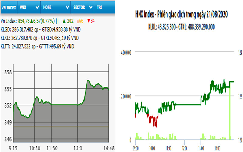 Diễn biến VN-Index và HNX-Index, phiên giao dịch ngày 21-8. 