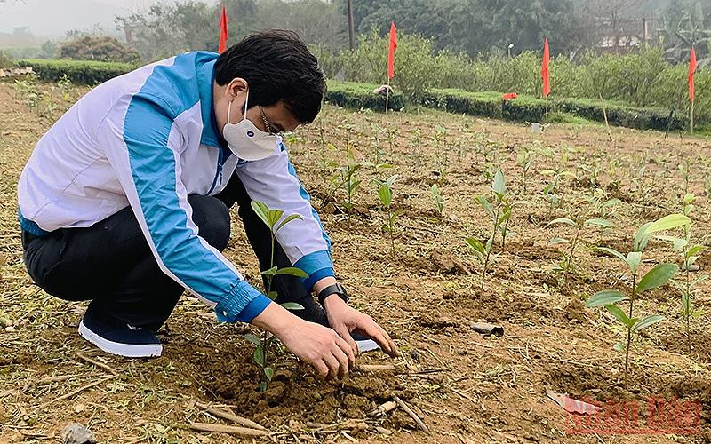Bí thư Thường trực Trung ương Đoàn Bùi Quang Huy tham gia trồng cây cùng đoàn viên, thanh niên xã Thượng Bằng La (tỉnh Yên Bái). Khởi động tu bổ di tích quốc gia đèo Lũng Lô và dự án “Mắt sáng học đường” -0