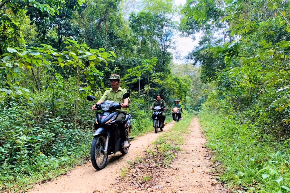 Nỗ lực giữ “lá phổi” xanh cho Tây Nguyên -0