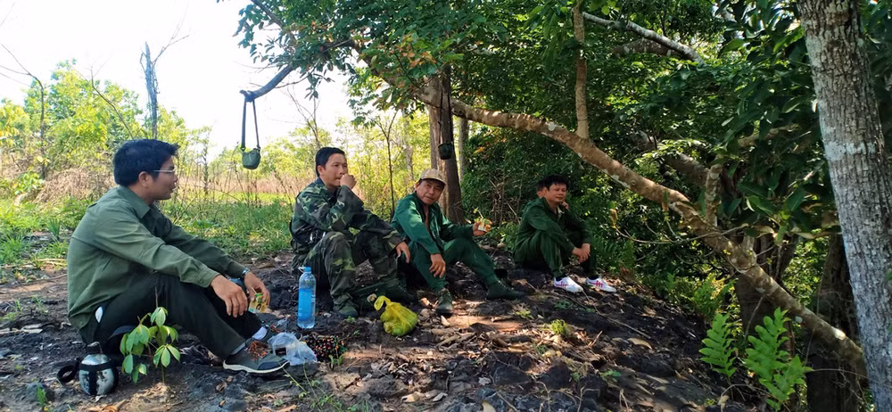 Nỗ lực giữ “lá phổi” xanh cho Tây Nguyên -0