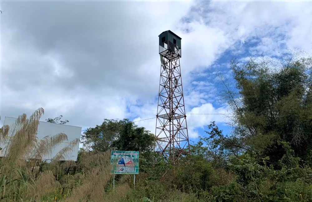 Nỗ lực giữ “lá phổi” xanh cho Tây Nguyên -0