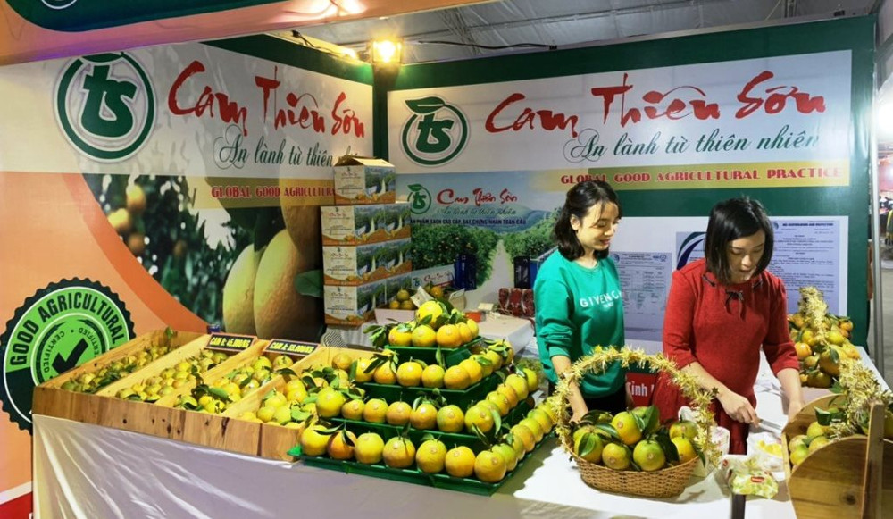 Gian hàng cam Thiên Sơn được trưng bày và giới thiệu đẹp mắt. Bài 3: Bài học phát triển nông nghiệp bền vững -0