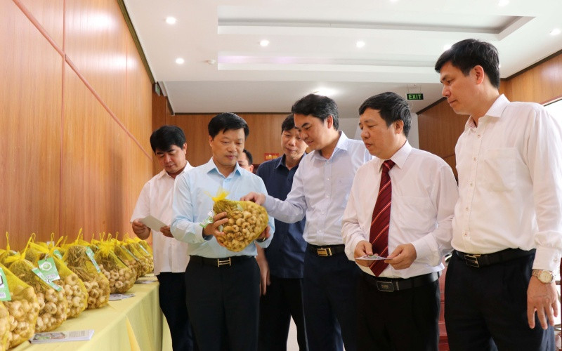 Tỏi An Thịnh được cấp văn bằng bảo hộ chỉ dẫn địa lý. 5_2-1599813091836.jpg