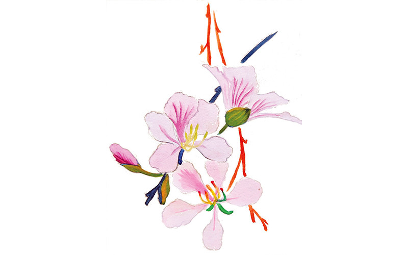 Người đi chẳng nói