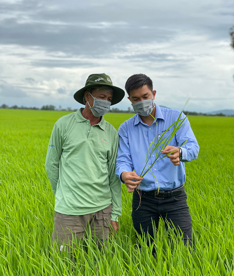 Syngenta hướng dẫn nông dân kỹ thuật canh tác lúa. Syngenta Việt Nam được vinh danh là doanh nghiệp xuất sắc châu Á -0