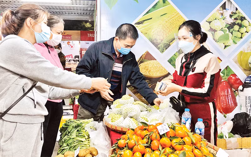 Người tiêu dùng Hà Nội mua sắm các sản phẩm nông sản, đặc sản vùng miền. 