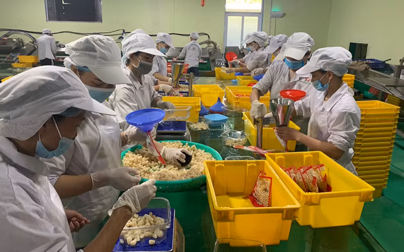 Giữ “vùng xanh” cho sản xuất và đời sống -0