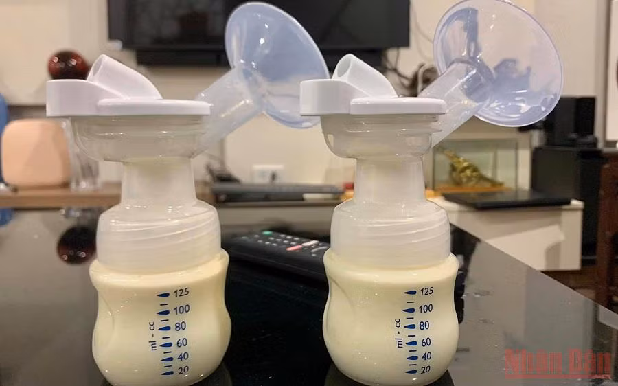 (Ảnh minh họa: ANH THƯ)