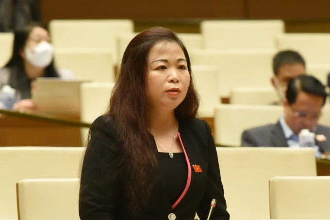 Đại biểu Quốc hội Vũ Thị Lưu Mai (Hà Nội). Bảo đảm hiệu quả tổng thể của hoạt động truyền tải điện quốc gia -0