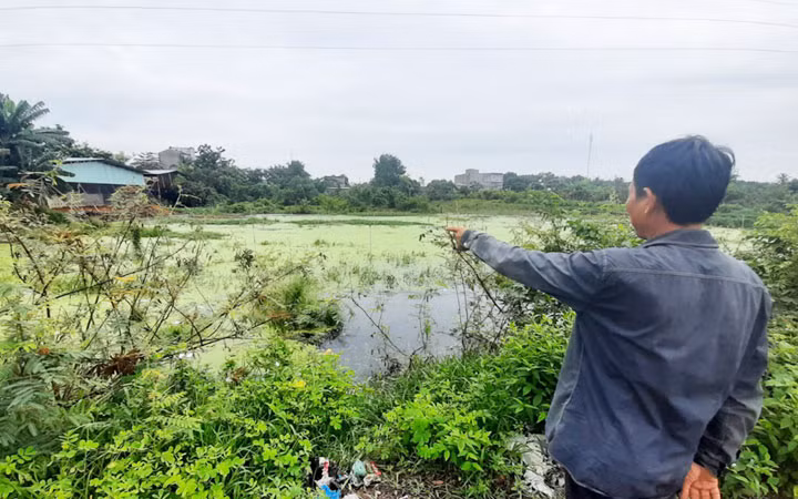 Hồ chứa nước thải tại trại nuôi lợn của ông Bùi Quang Phiên (thị trấn Thanh Bình, huyện Bù Đốp, Bình Phước) gây ô nhiễm môi trường.
