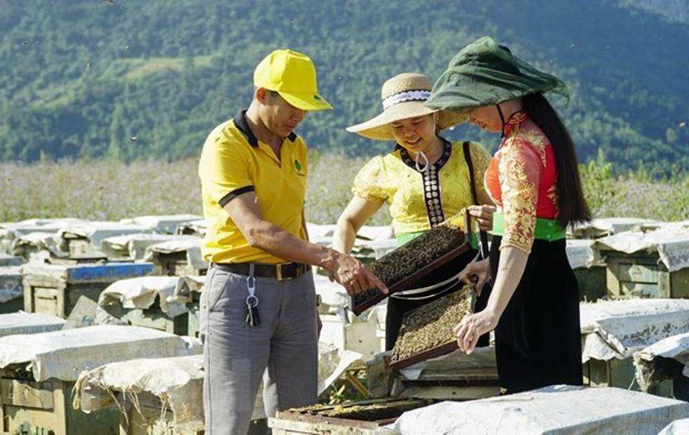 Những đổi thay ở Điện Biên ảnh 4 Điện Biên vượt qua vết thương chiến tranh, khoác lên mình diện mạo mới -0