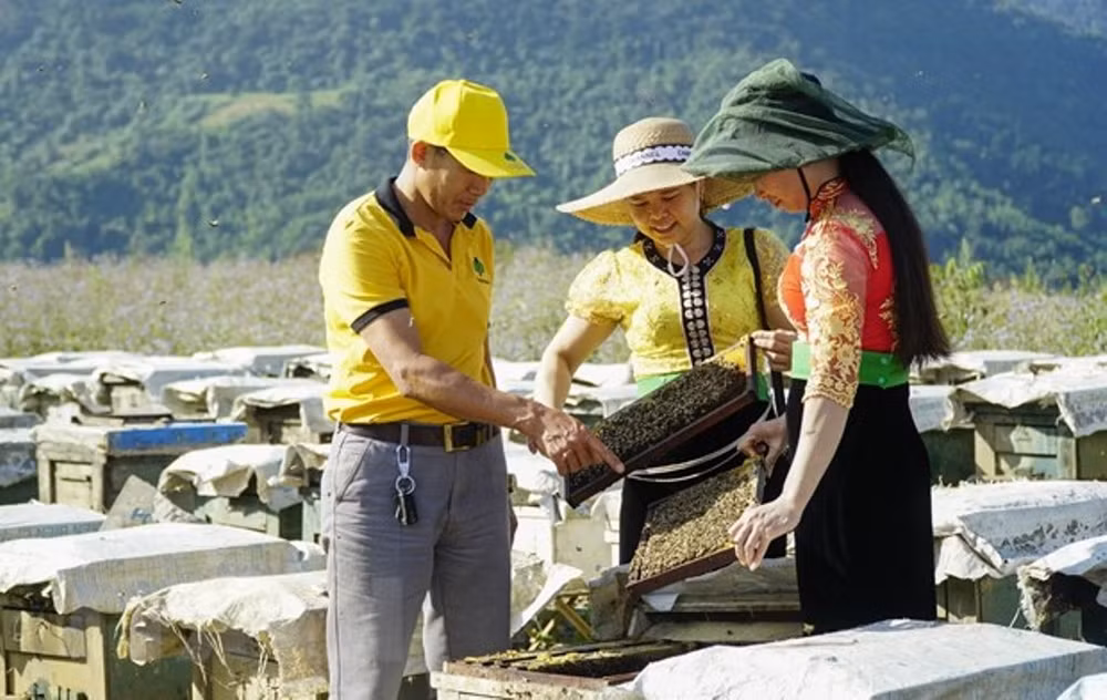 Điện Biên vượt qua vết thương chiến tranh, khoác lên mình diện mạo mới -0