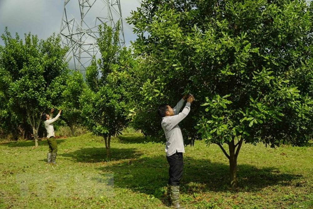 Những đổi thay ở Điện Biên ảnh 3 Điện Biên vượt qua vết thương chiến tranh, khoác lên mình diện mạo mới -0