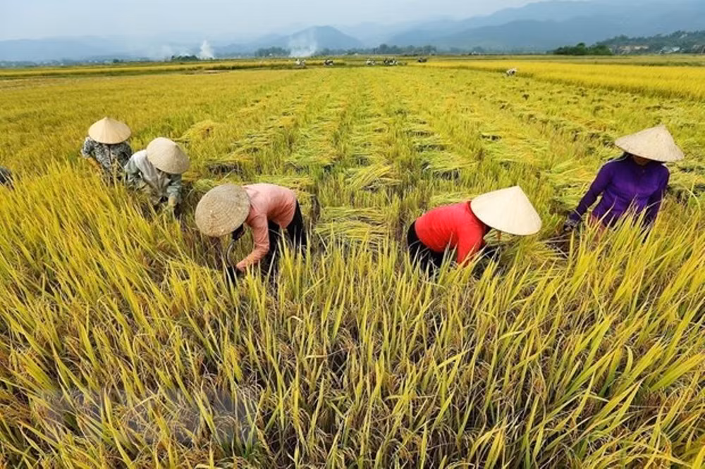 Điện Biên vượt qua vết thương chiến tranh, khoác lên mình diện mạo mới -0