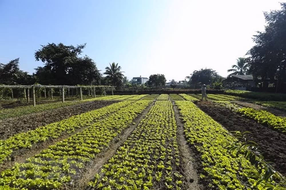 Điện Biên vượt qua vết thương chiến tranh, khoác lên mình diện mạo mới -0
