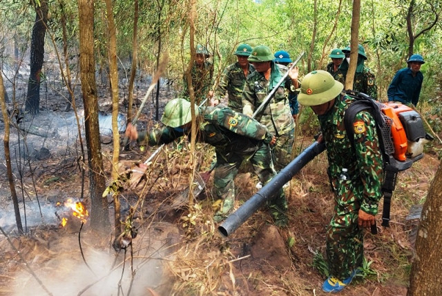Các lực lượng công an, biên phòng và chính quyền địa phương khẩn trương chữa cháy. Lại cháy rừng ở Diễn Châu (Nghệ An) -0