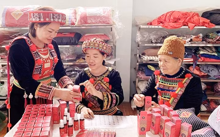 Đóng gói các sản phẩm tại Hợp tác xã Thiên An, xã Vi Hương, huyện Bạch Thông.