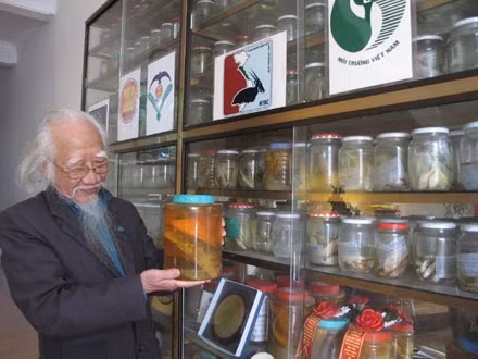 Tiến sĩ Nguyễn Thái Tự bên bào tàng cá nước ngọt của mình.