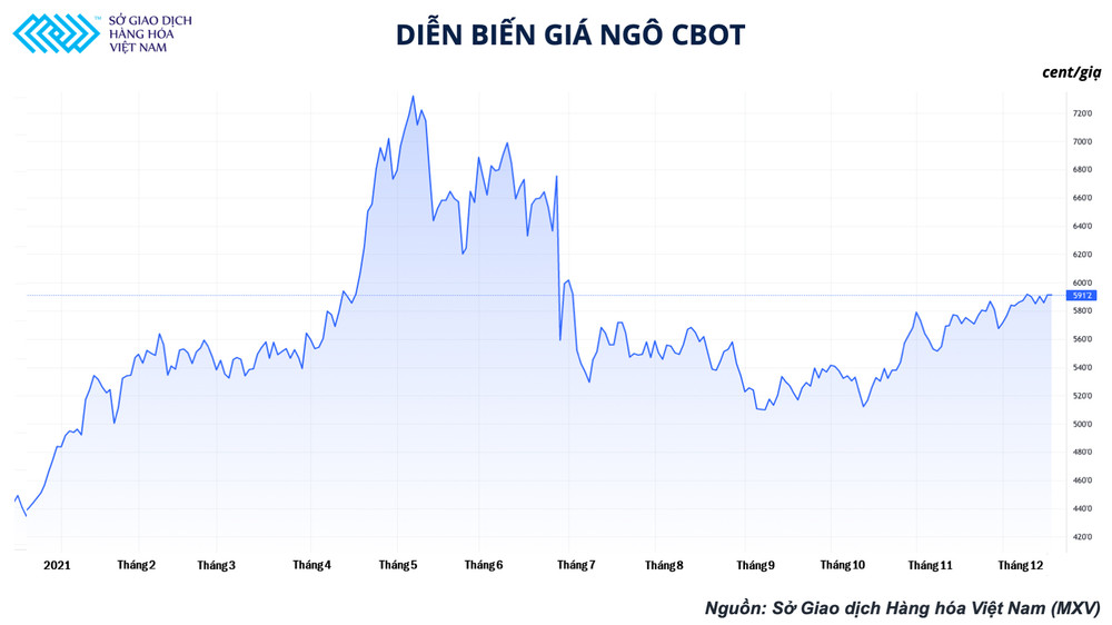 Diễn biến giá hợp đồng ngô tháng 3 trên Sở Giao dịch giao dịch hàng hóa Chicago (CBOT) Doanh nghiệp chăn nuôi chưa hết lao đao, nguy cơ giá nông sản lại sắp bước vào một đợt tăng mới? -0