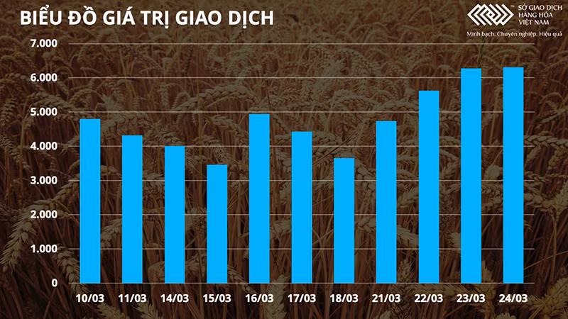 Thị trường hàng hóa trái chiều giữa nhiều bất ổn ở biển Đen, giá dầu đảo chiều giảm mạnh -0