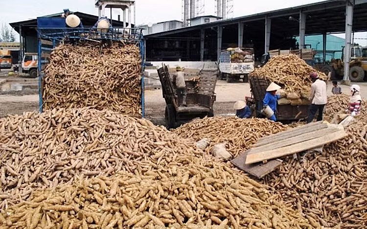 Ảnh minh họa. (Nguồn: Báo Công thương)