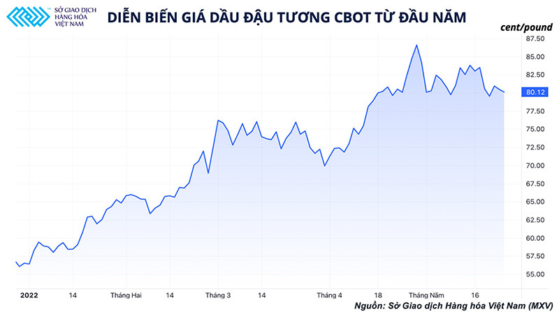 Thế giới vẫn đứng trước nguy cơ thiếu dầu ăn dù xuất khẩu dầu cọ của Indonesia đã nối lại -0