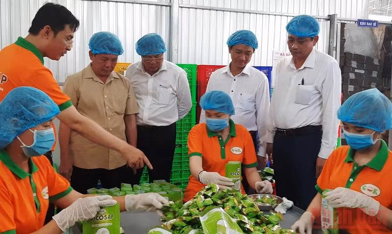 Kẹo dừa sáp lá dứa Vicosap là sản phẩm OCOP 4 sao của Công ty TNHH Chế biến dừa sáp Cầu Kè (xã Thạnh Phú, huyện Cầu Kè).