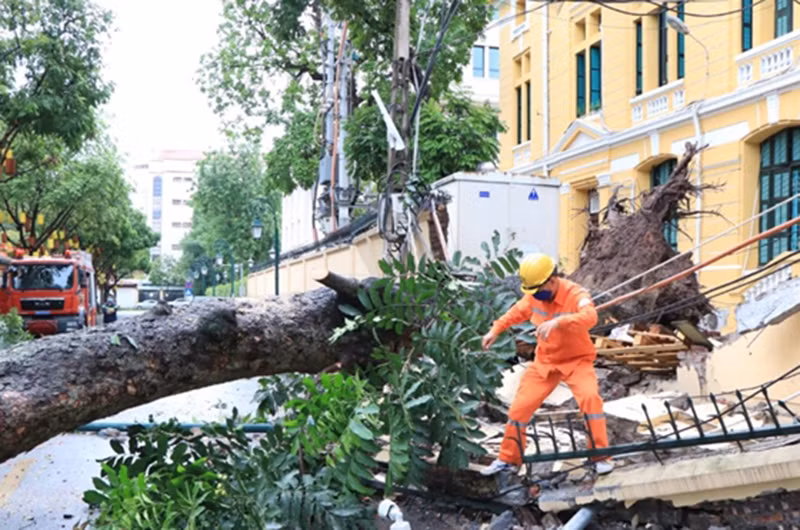 Lực lượng chức năng xử lý sự cố cây đổ. Ảnh: HIỆP BÌNH