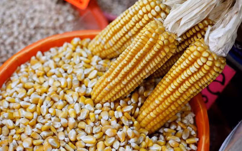 Ảnh minh họa. (Ảnh: Reuters)