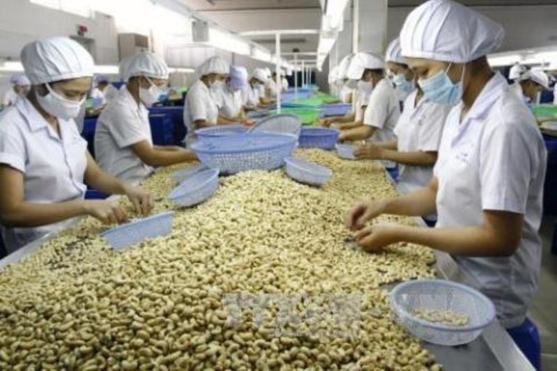 Đài Loan (Trung Quốc) sẽ giảm thuế nhập khẩu hạt điều còn 10%