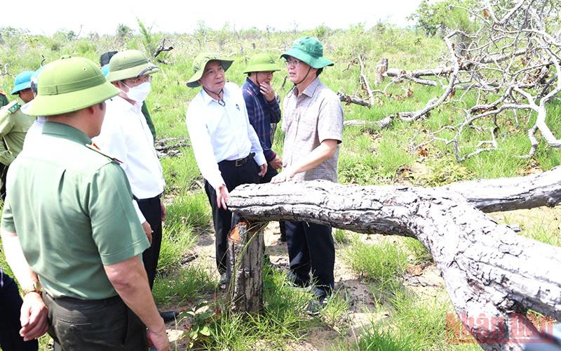 Ngay sau đó, Bí thư Tỉnh ủy Đắk Lắk Nguyễn Đình Trung và Chủ tịch Ủy ban nhân dân tỉnh Phạm Ngọc Nghị cùng lãnh đạo các sở, ngành liên quan của tỉnh đã trực tiếp vào hiện trường kiểm tra, chỉ đạo các ngành chức năng vào cuộc điều tra, xử lý vụ phá rừng nghiêm trọng này. Kỷ luật cảnh cáo Chủ tịch và Phó Chủ tịch Ủy ban nhân dân xã Ya Tờ Mốt về vụ để mất 382,07ha rừng tự nhiên -0