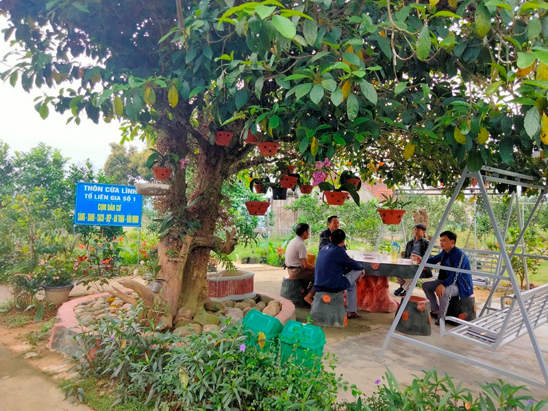 Nhiều làng quê trù phú, thân thiện nhờ xây dựng NTM. Xây dựng nông thôn mới ở Vũ Quang: Khi cái khó ló cái khôn -0