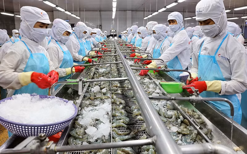 Xuất khẩu thủy sản đang gặp khó.