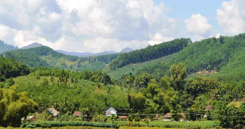 Vùng miền núi tỉnh Quảng Ngãi thường hay xảy ra động đất.