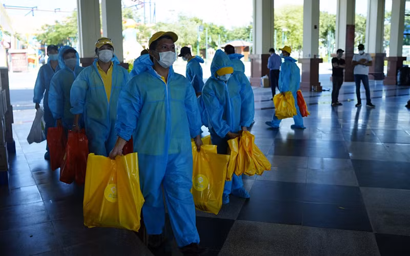 Khi “sếu đầu đàn” vượt qua giông bão -0