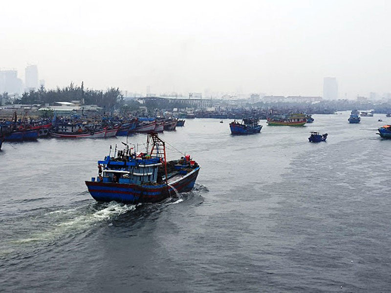 Ảnh minh họa.