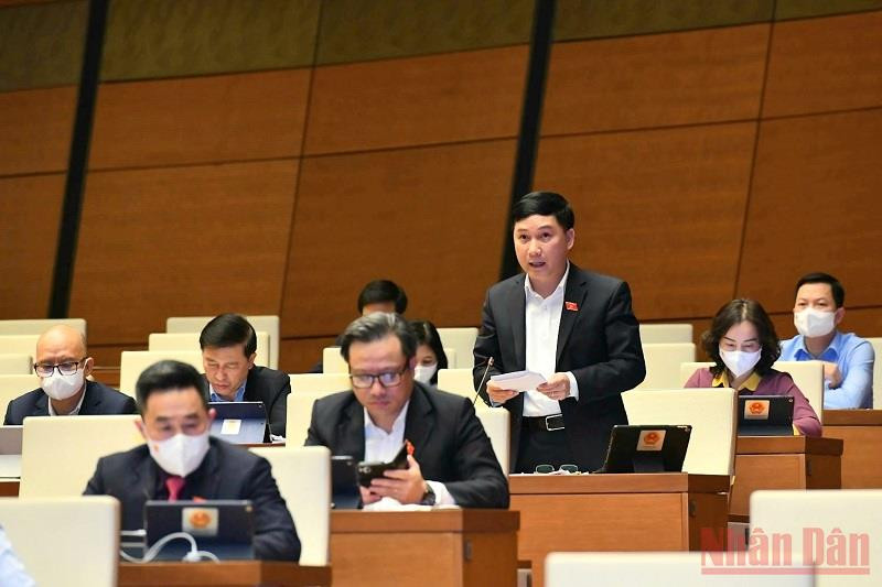 Đại biểu Lê Hoàng Anh (Gia Lai) phát biểu ý kiến tại hội trường. (Ảnh: LINH NGUYÊN) Nâng cao hiệu quả bảo hộ, khai thác và bảo vệ tài sản trí tuệ -0